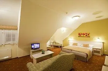 ****  Spa Hotel Cajkovskij Карловы Вары Чехия